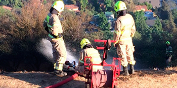 Cuerpo de Bomberos de Santiago controló incendio forestal en cerro Calán